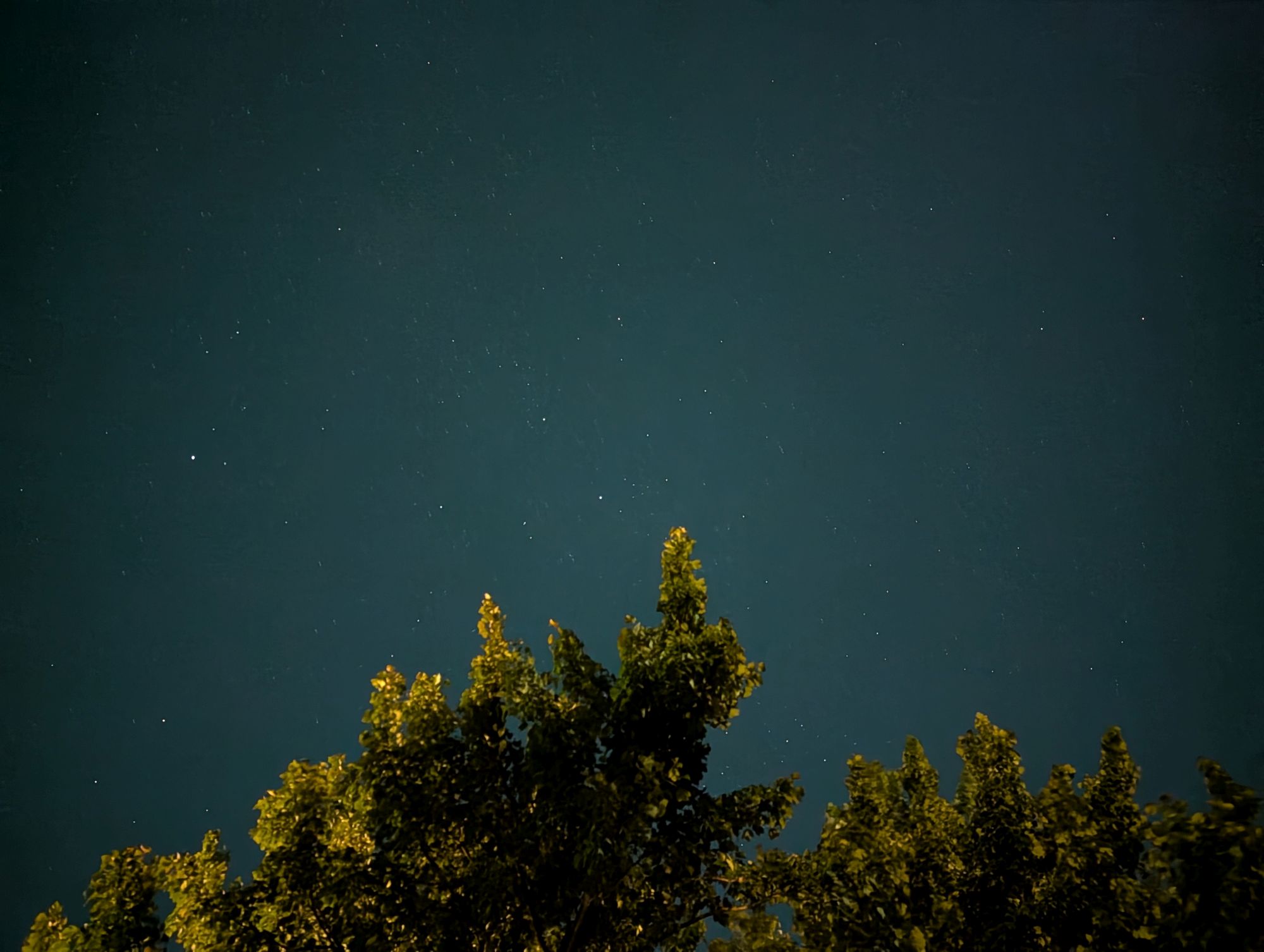 Pixel 10 Pro XL astrophotography sample.