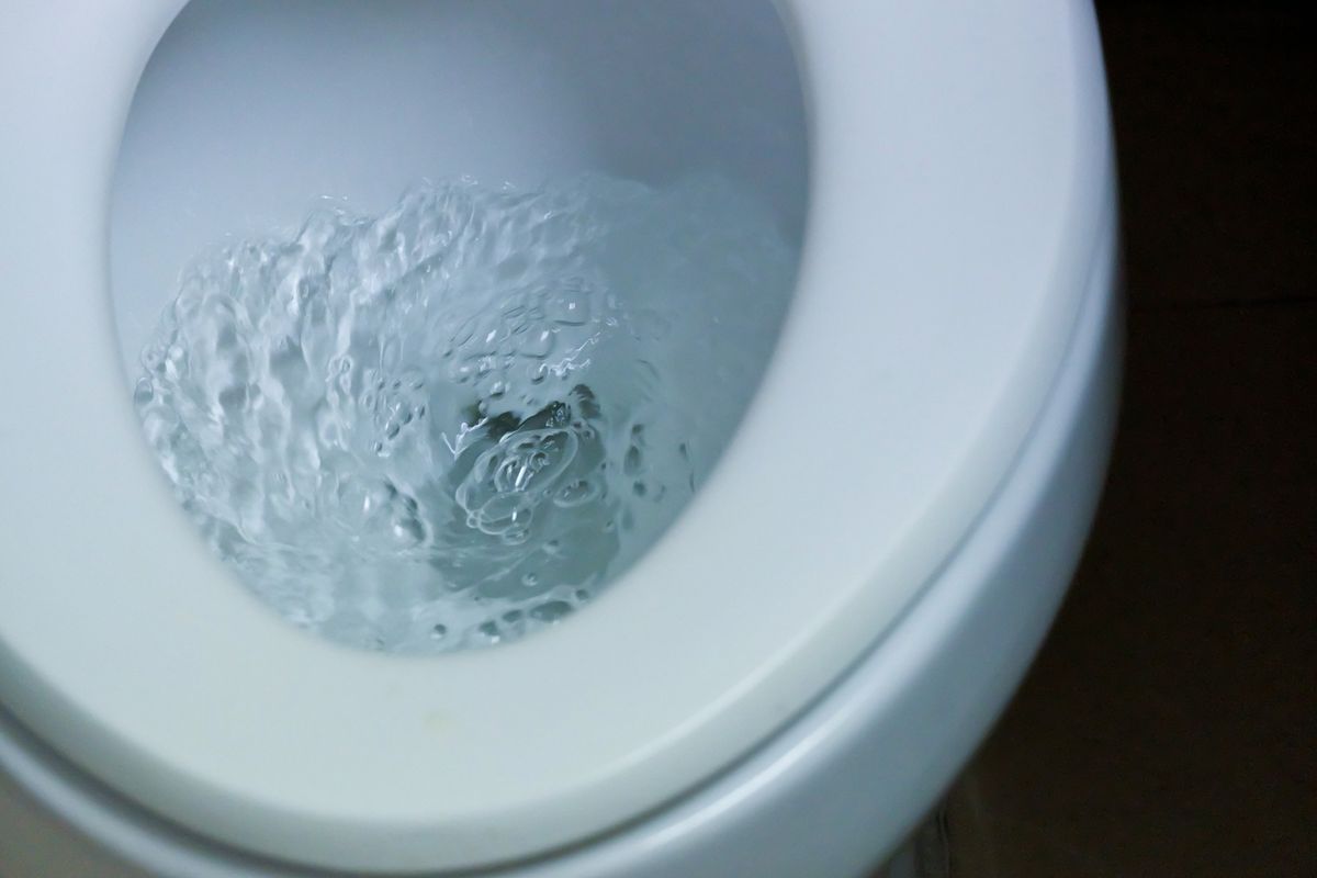 What do you mean by flush? - Quora