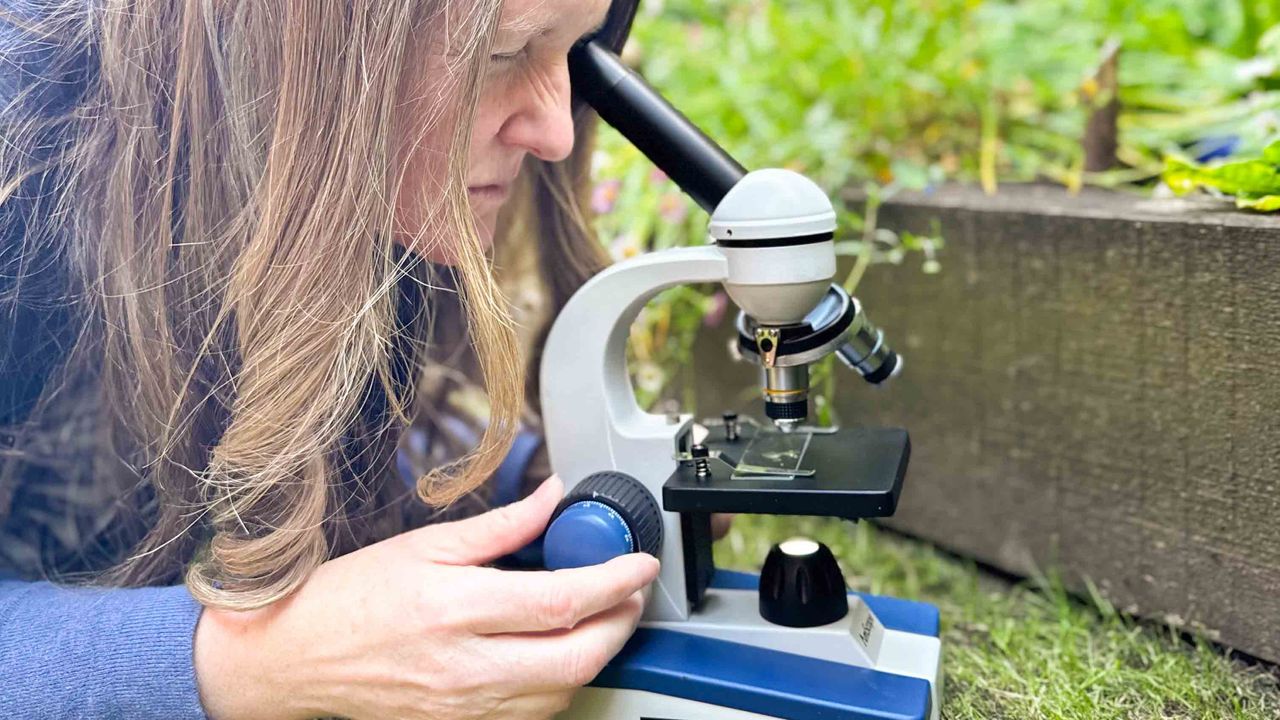 Microscope being used by the author outside, adjusting the focusing knob