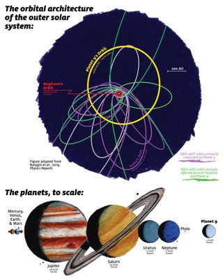 Orbits of distant Kuiper Belt objects and the hypothesized Planet Nine. Orbits rendered in purple are primarily controlled by Planet Nine's gravity and exhibit tight orbital clustering. Green orbits are strongly coupled to Neptune and exhibit a broader orbital dispersion. Updated orbital calculations suggest that Planet Nine is an approximately 5-Earth-mass planet that resides on a mildly eccentric orbit with a period of about 10,000 years.
