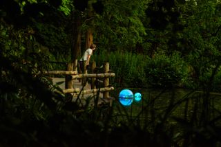 image of pond water detector in water in rotterdam