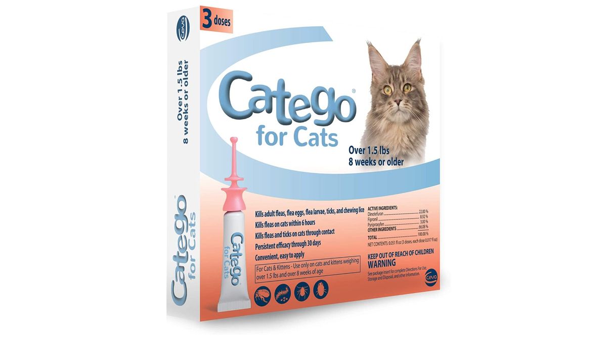 Best flea treatments for cats 2024 to keep the pests at bay PetsRadar
