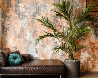 Kentia palm in planter with leather sofa and turquoise cushion