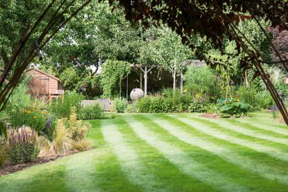 garden with a large lawn and lots of plants 