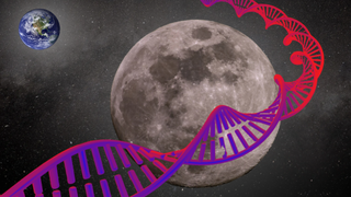 An illustration shows the moon wrapped in DNA representing its potential as a biorepository 