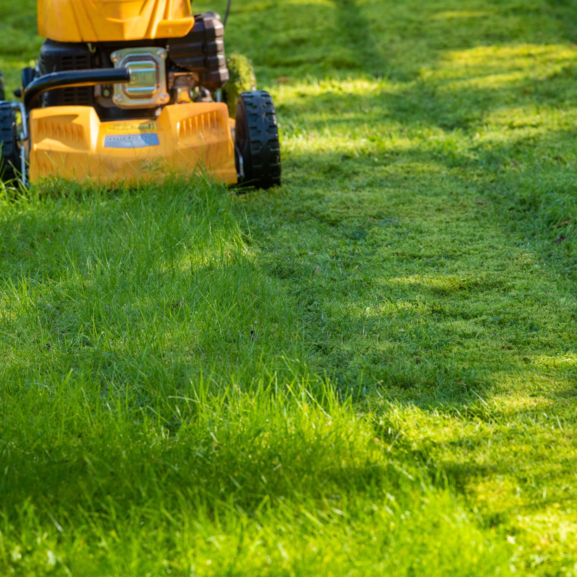 lawn mower on grass