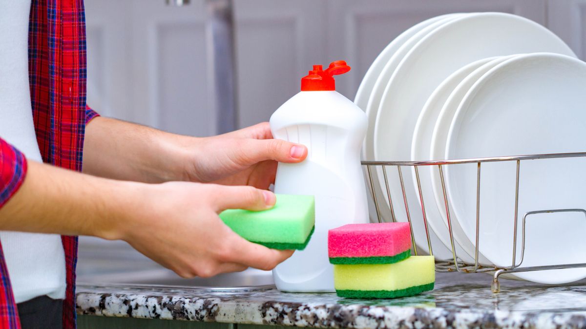 Dish soap next to three sponges