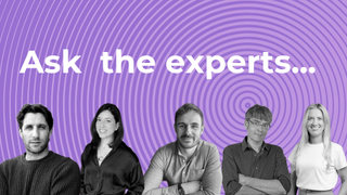 headshots of website builder experts on a purple background