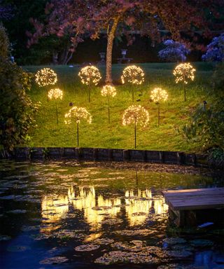 dandelion clock solar lighting from sparkle lighting above pond in garden