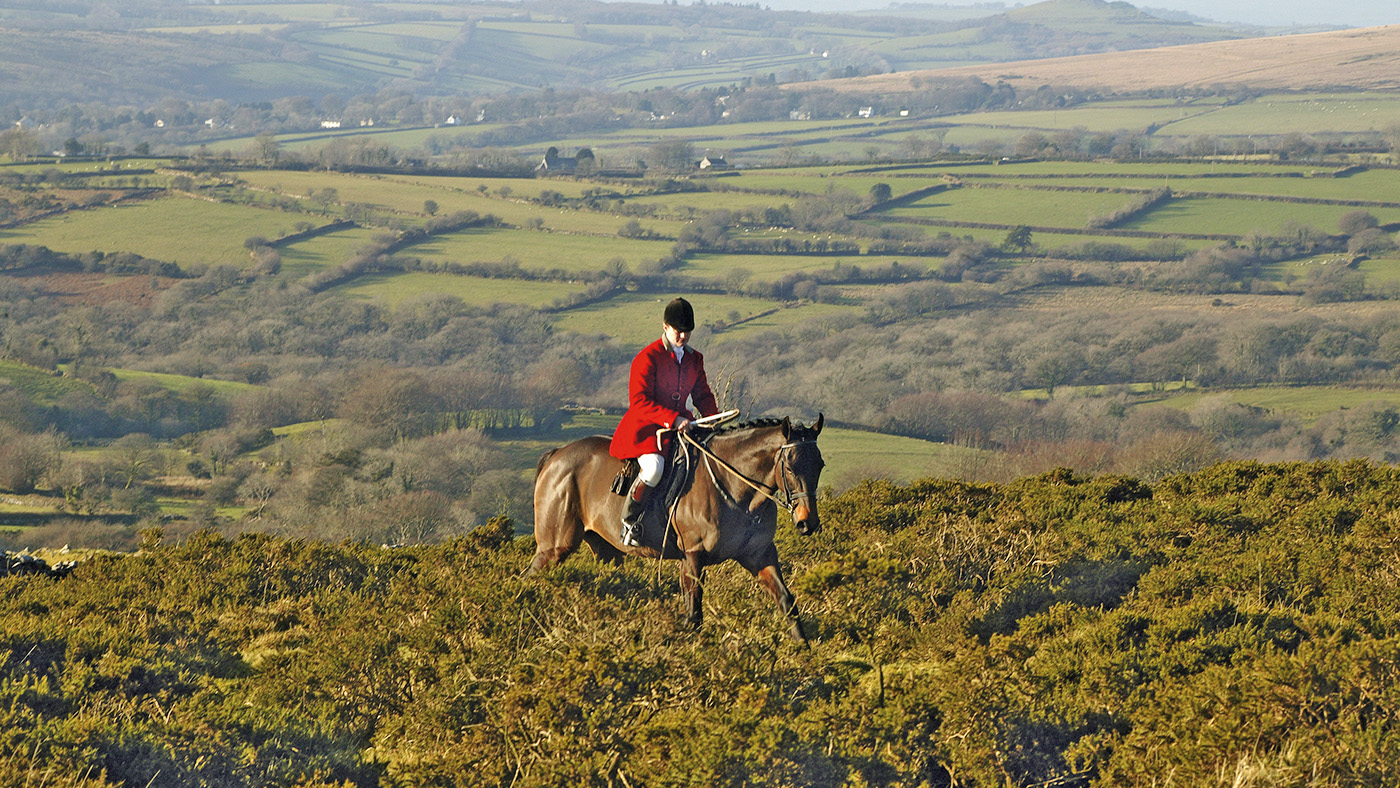 Claire Bellamy at the first draw with Spooners and West Dartmoor Hunt