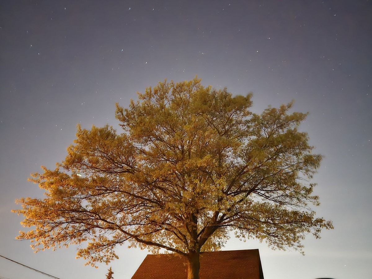 Samsung Galaxy S24 Ultra low light sample.