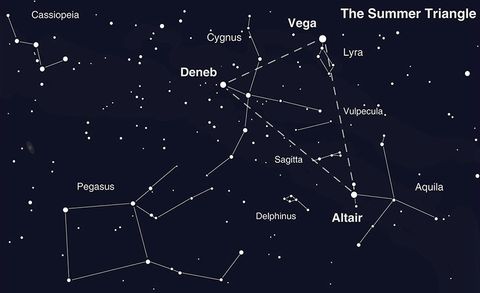 See a Dolphin, Fox, Foal and More in the Night Sky This Week | Space