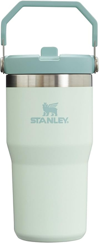 Stanley IceFlow Flip Straw Jug with Handle (20 oz)