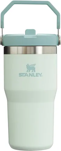 Stanley IceFlow Flip Straw Jug with Handle (20 oz)