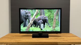三星UE24N4300电视正面放在木制电视支架上，屏幕上显示大象