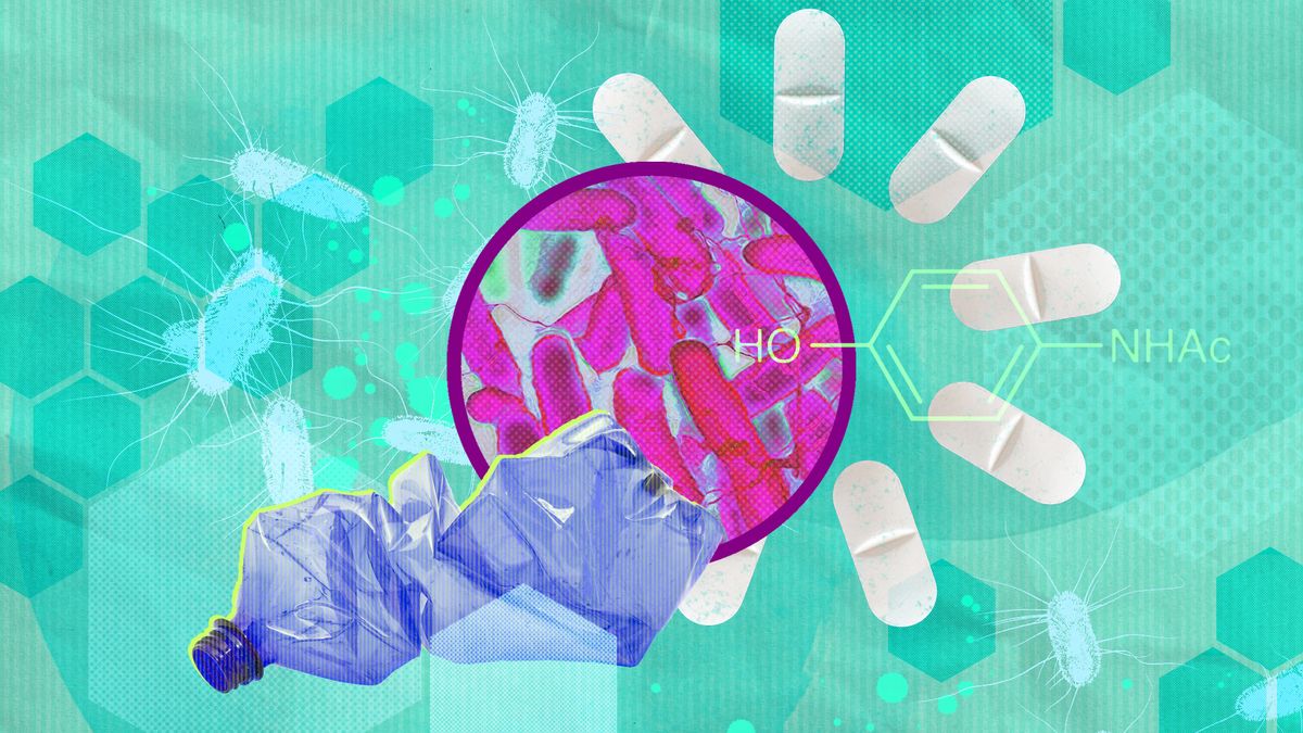 Bacteria can turn plastic waste into a painkiller