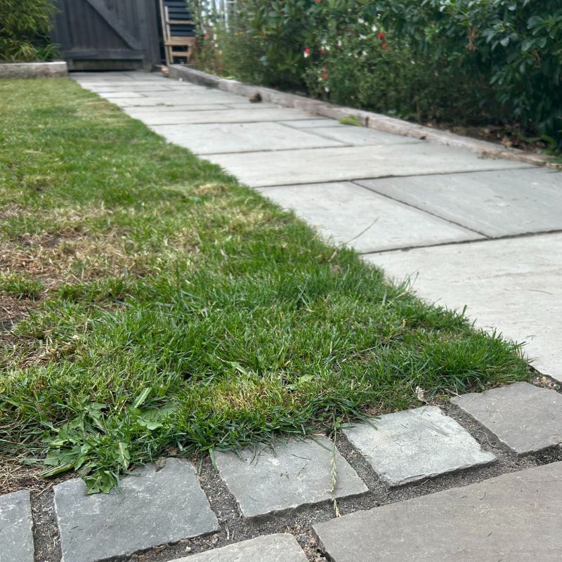 Vonhaus Cordless Lawn Mower 40V - after cutting corners