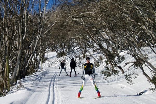 Ok, I'm not a very good skier and spent the winter following a long way behind