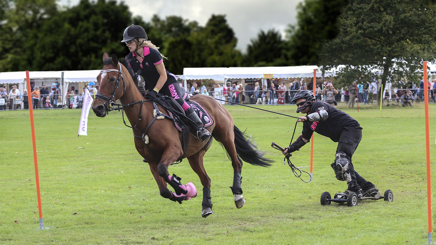 Daniel-Fowler-Prime-Horse-Boarder-IMG_01_275425051_485283001.jpg