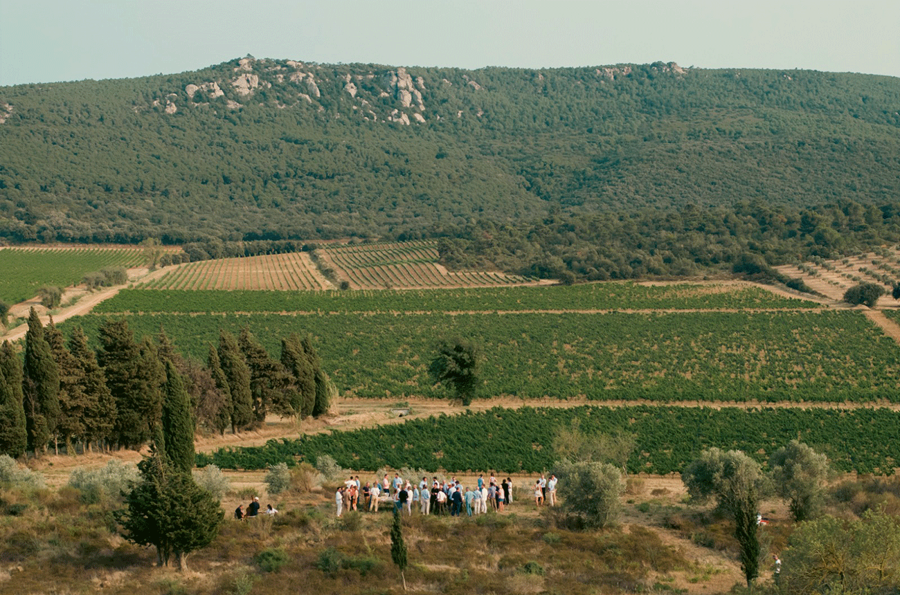 Ch&amp;acirc;teau d'Aussi&amp;egrave;res