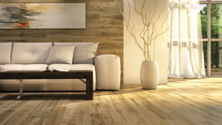 Wood, Floor, Flooring, Brown, Interior design, Hardwood, Room, Wood flooring, Laminate flooring, Wall,