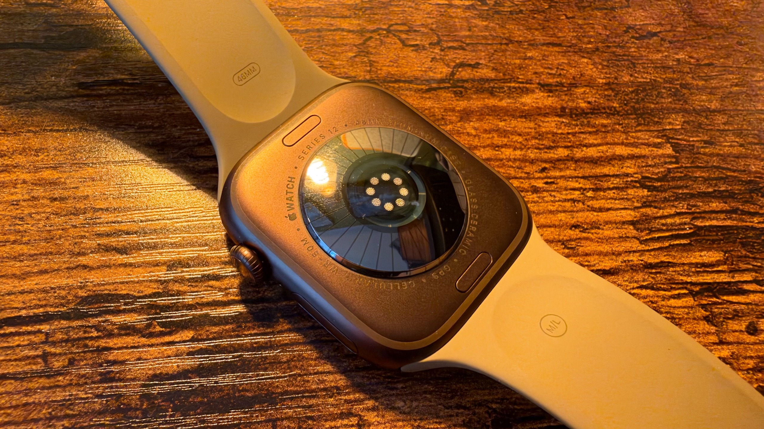 Apple Watch Series 12
