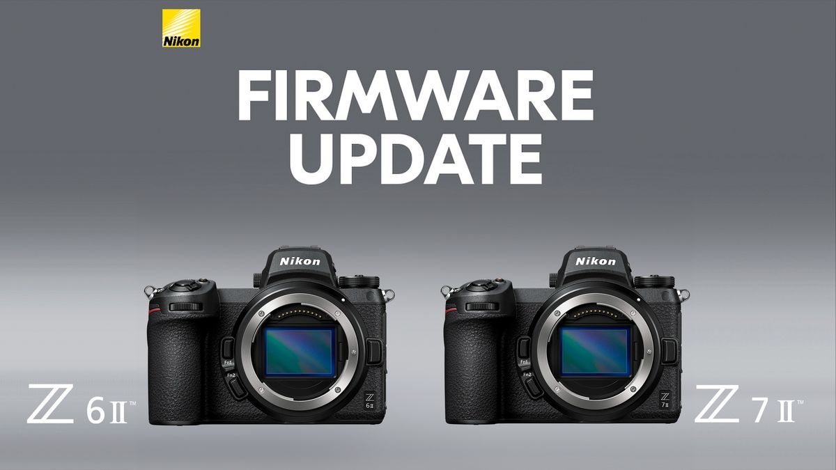 Nikon firmware