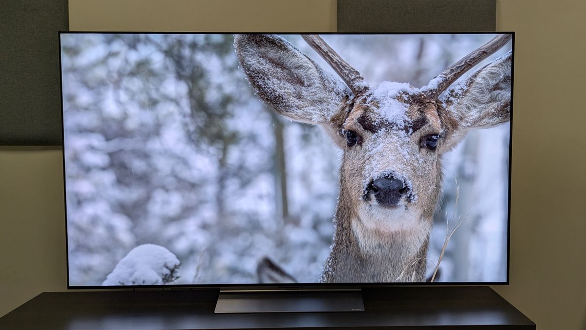 The LG C6 OLED TV with a shot of a snow-covered deer on screen. It demonstrates the C6's bright whites and exceptionally crisp textures.