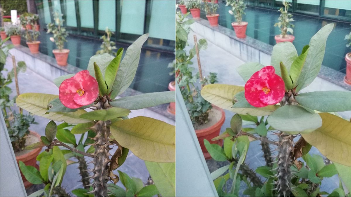 Redmi Note 5 (Left) Honor 9 Lite (Right)