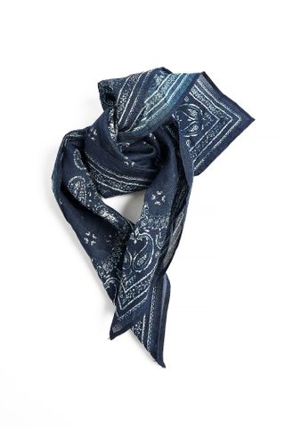 Paisley Scarf