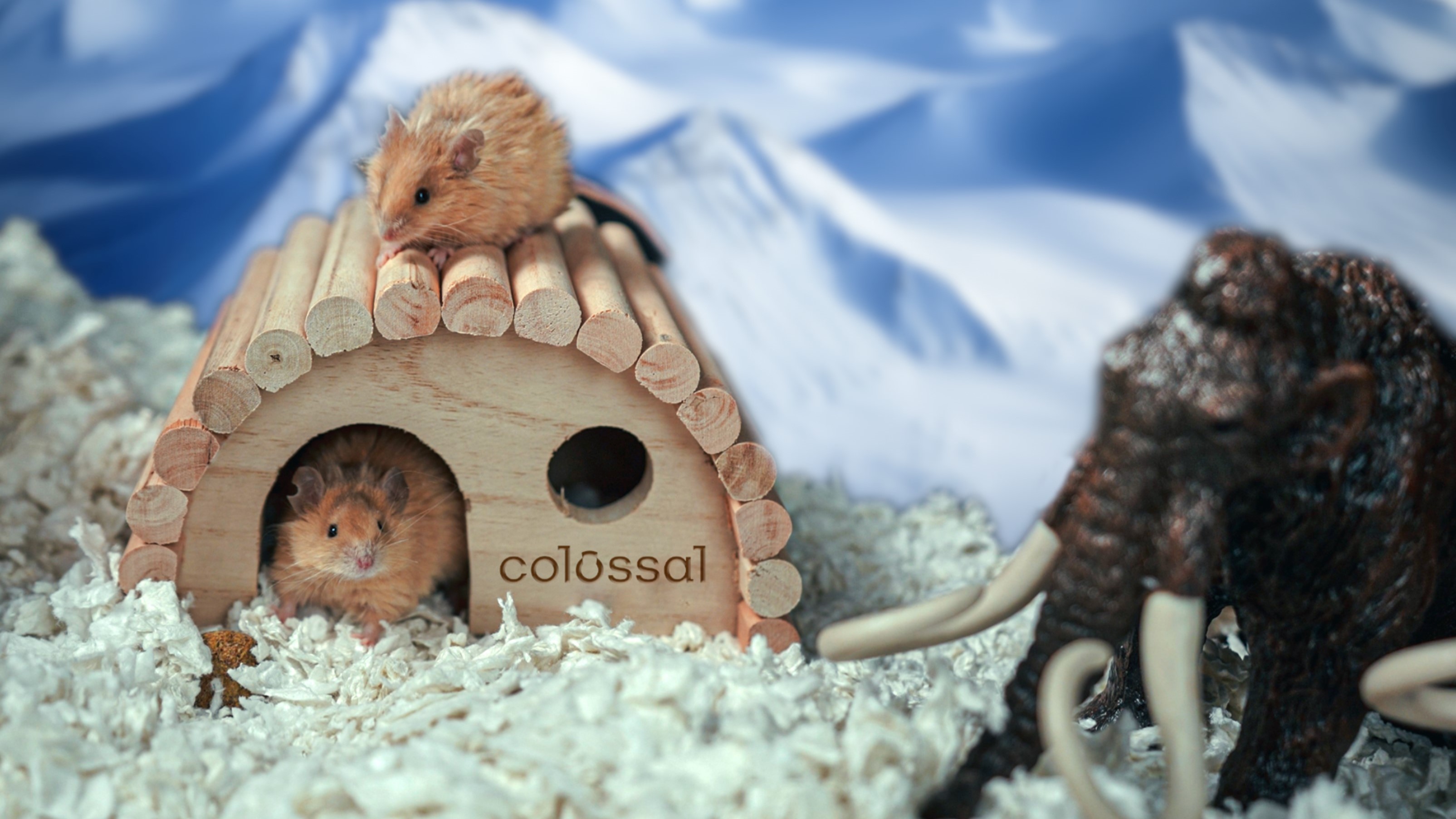 Two woolly mice in their artificial habitat. We see a wooden hut and a figurine of a woolly mammoth in the foreground.