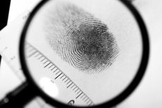fingerprints