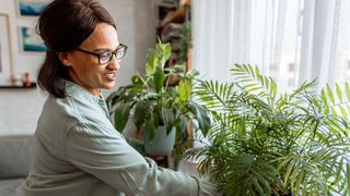 A woman tends to her houseplants