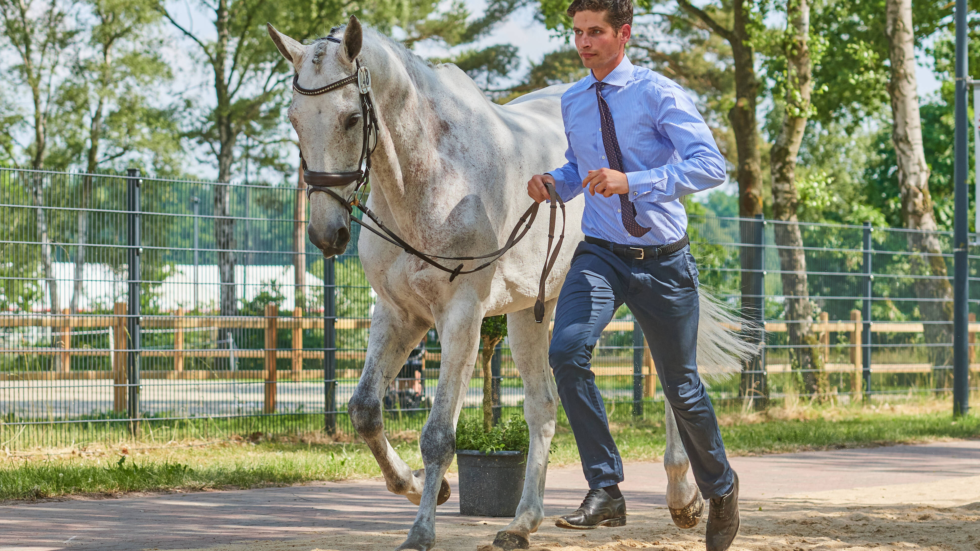 Luhm&uuml;hlen Horse Trials final trot-up: Christoph Wahler and Carjatan S lie second