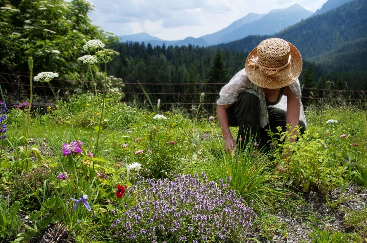 Person In A Flower Garden