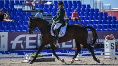 Rosemary Gaffen leads the way for Ireland in the grade IV at the World Para Dressage Championships