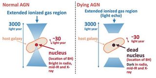 The observational difference between a standard AGN (left) and a dying AGN (right) discovered by Ichikawa et al. In the dying AGN, the nucleus is very faint in all wavelength bands because AGN activity is already dead, while the extended ionized region is still visible for about 3,000 light-years since it takes about 3,000 years for the light to cross the extended region.