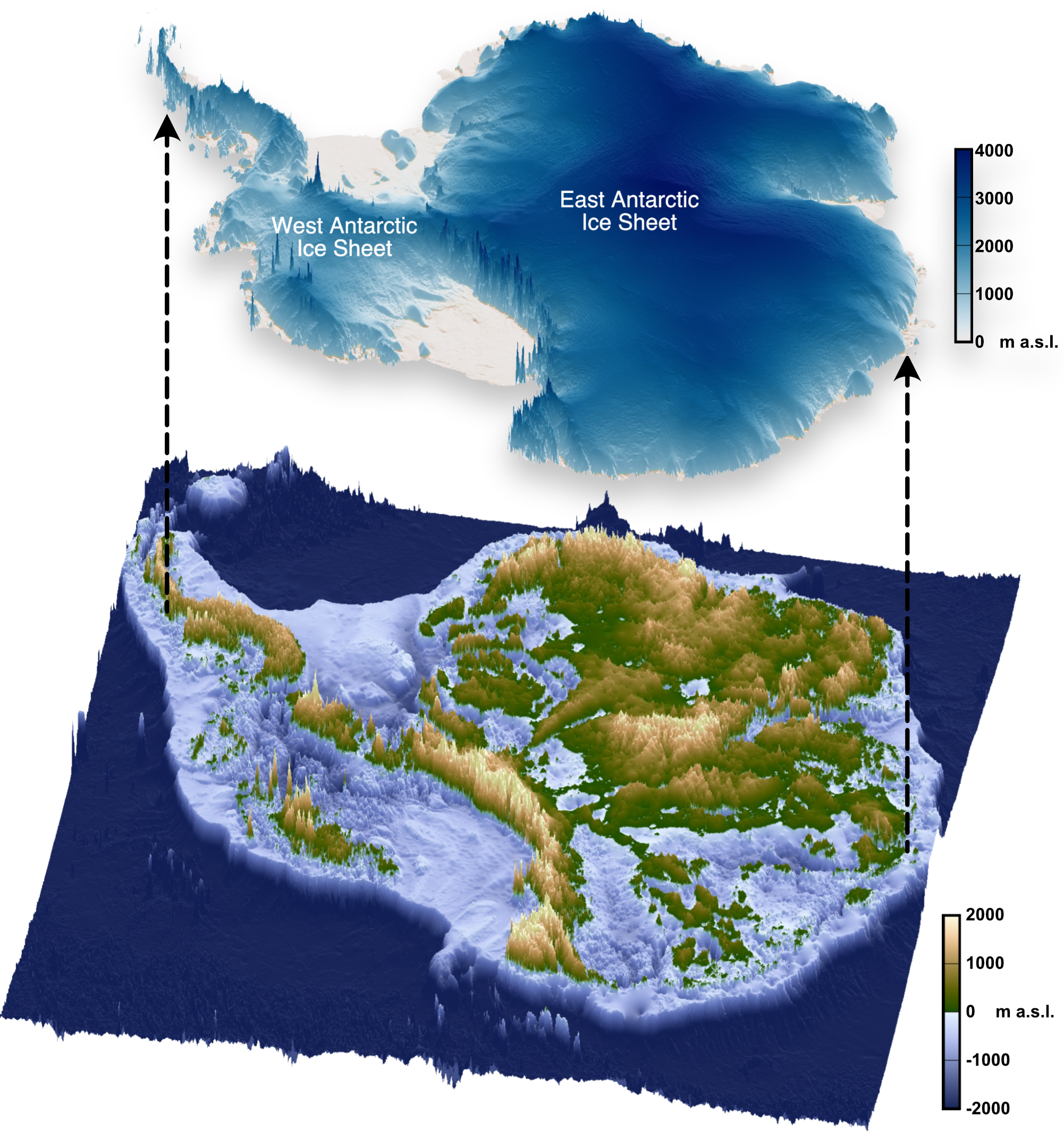 The topography beneath the Antarctic Ice Sheet.