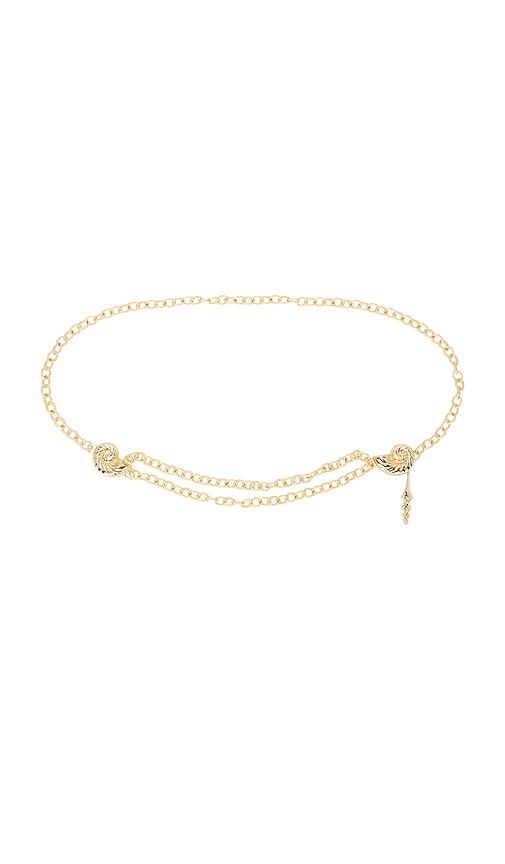 Multi Shell Chain Belt