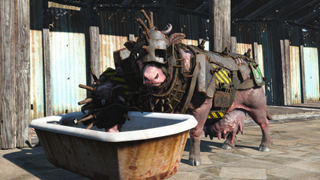 Two Brahmin clad in armour feed from a trough in Fallout 4