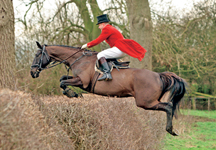 hunting-1.jpg