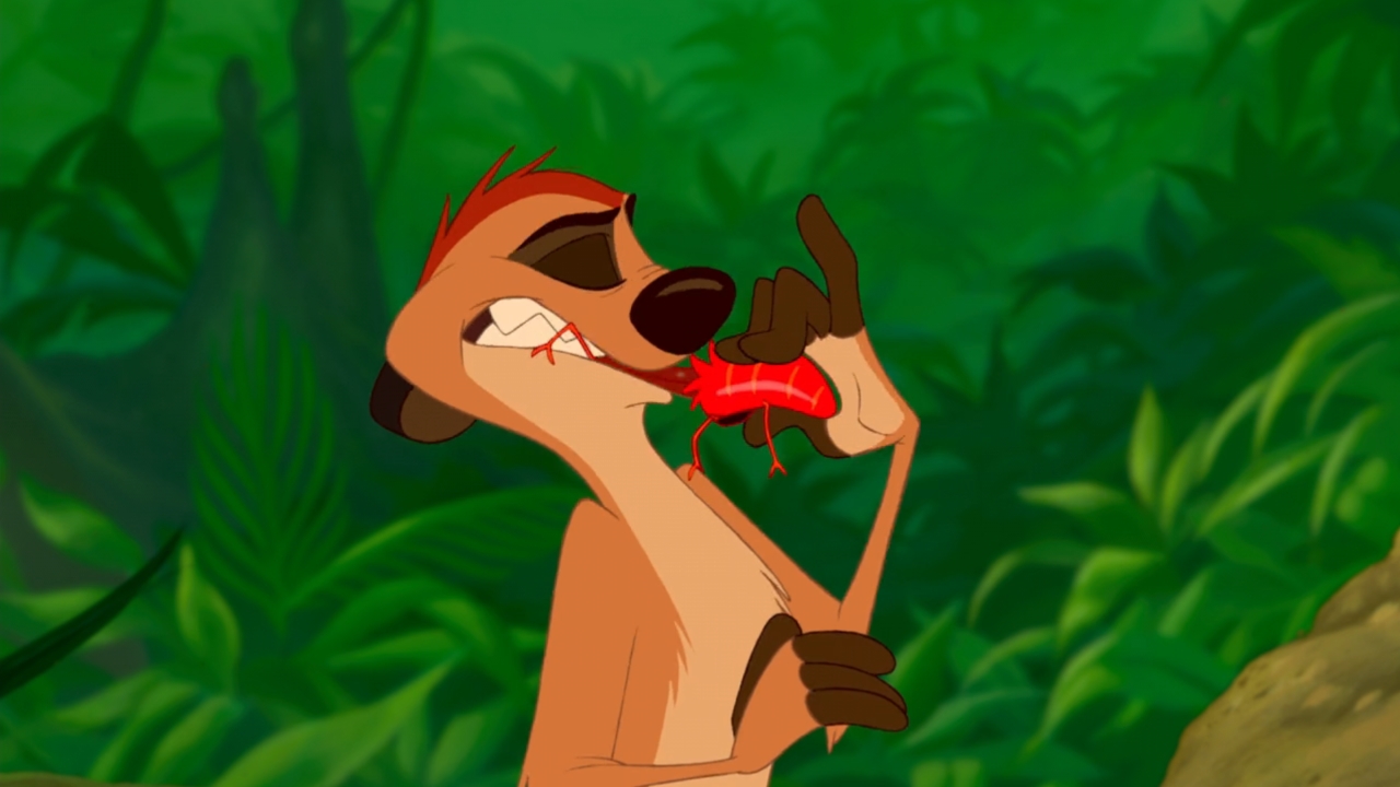 timon biting into a grub