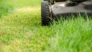 close-up of lawnmower wheel on grass