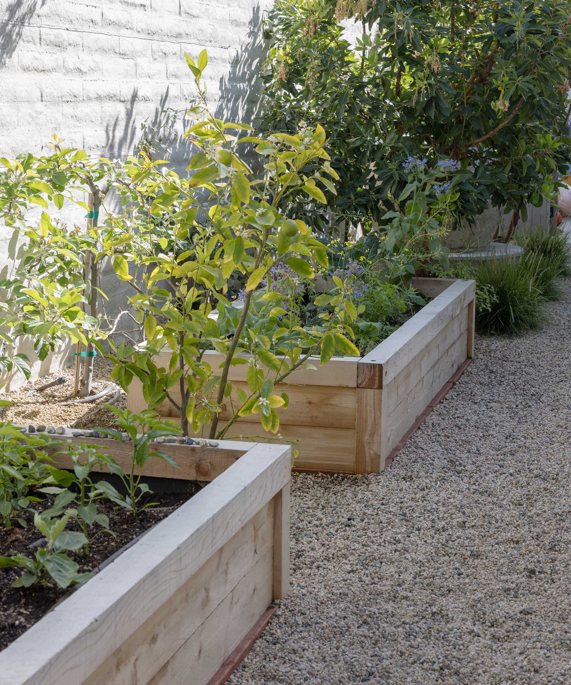 raised beds from Garden Studio Design&amp;rsquo;s Quiet Cove project