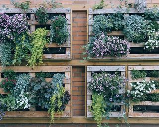 pallets mounted on a wall as a planting sytem