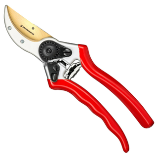 A pair of red bypass pruning shears