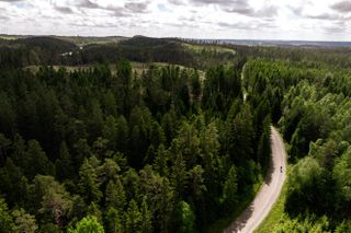 A drone shot of a lone cyclists on bend on gravel road in a coniferous Swedish forest