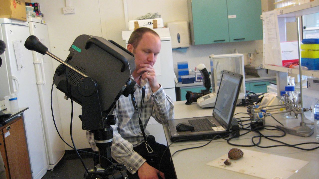 Researchers scan the 2,600-year-old brain.