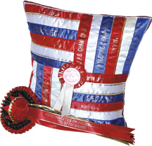 Rosette_and_cushion.jpg