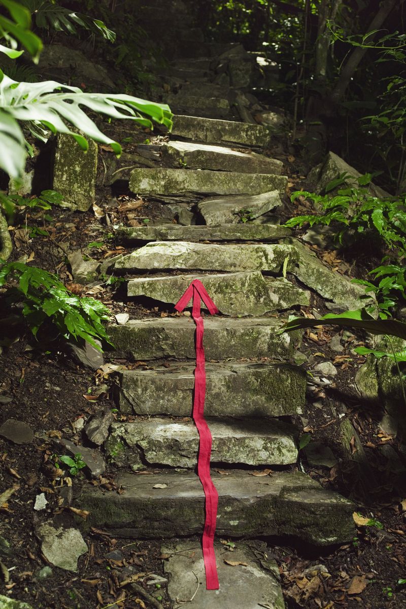 Go on a Scavenger Hunt